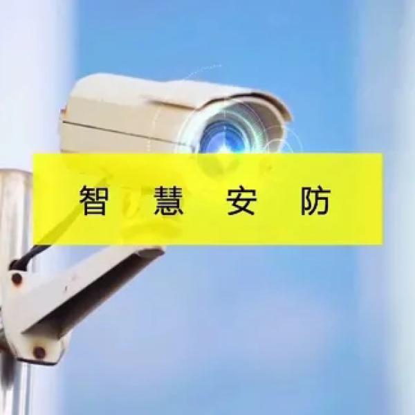 智能安防